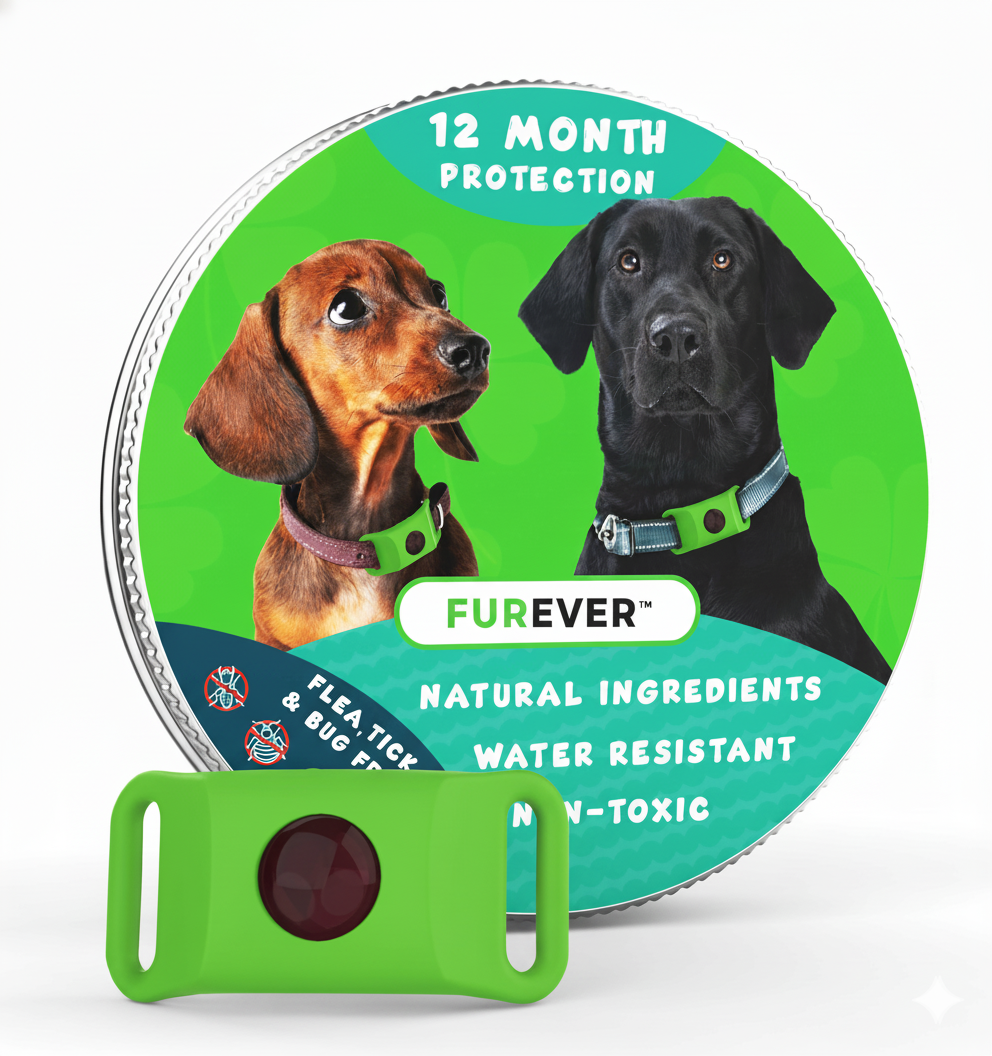 FurEver™ - 12 Months All Natural Flea and Tick Tags for Dogs