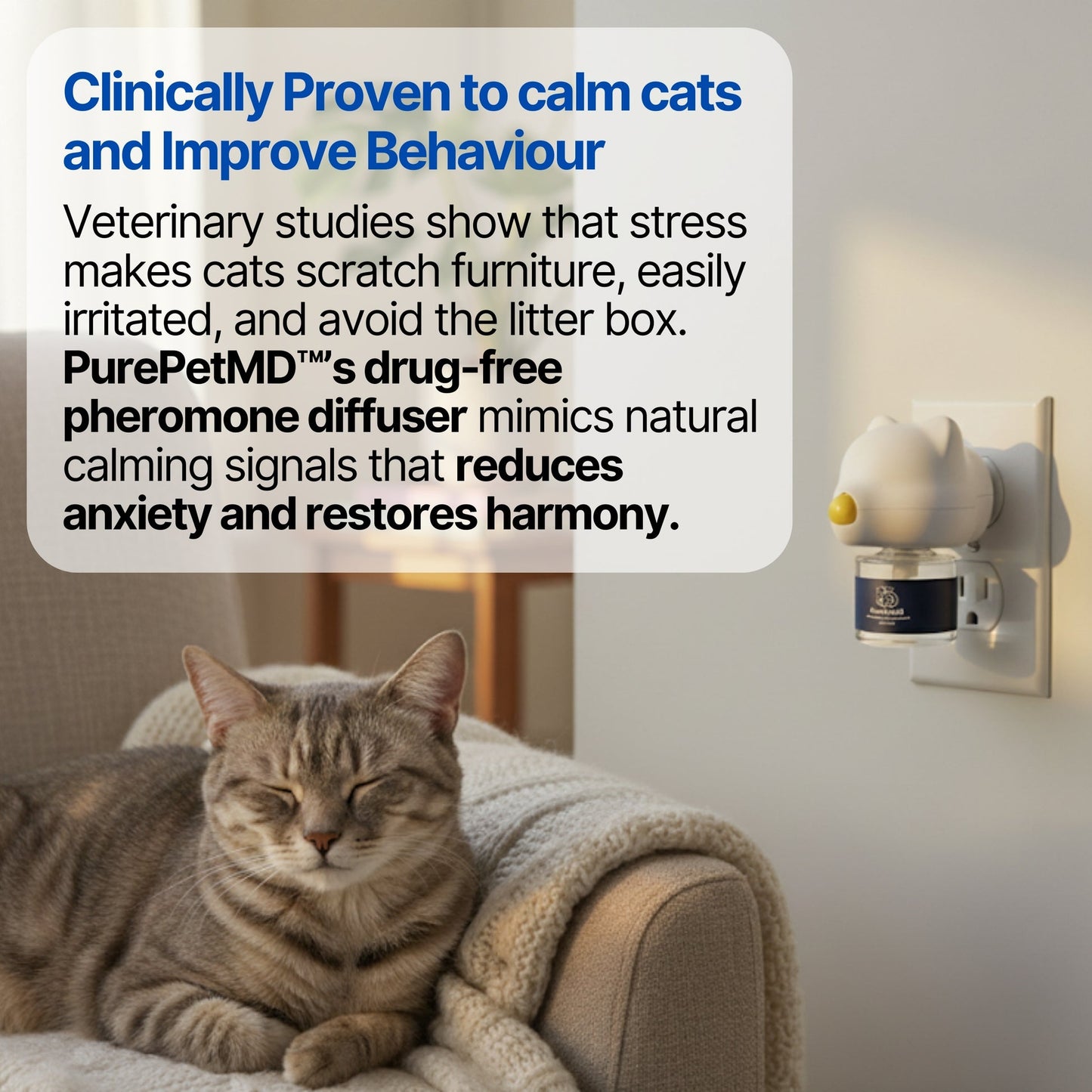 Turn Stressful Destruction into Calm Relaxation