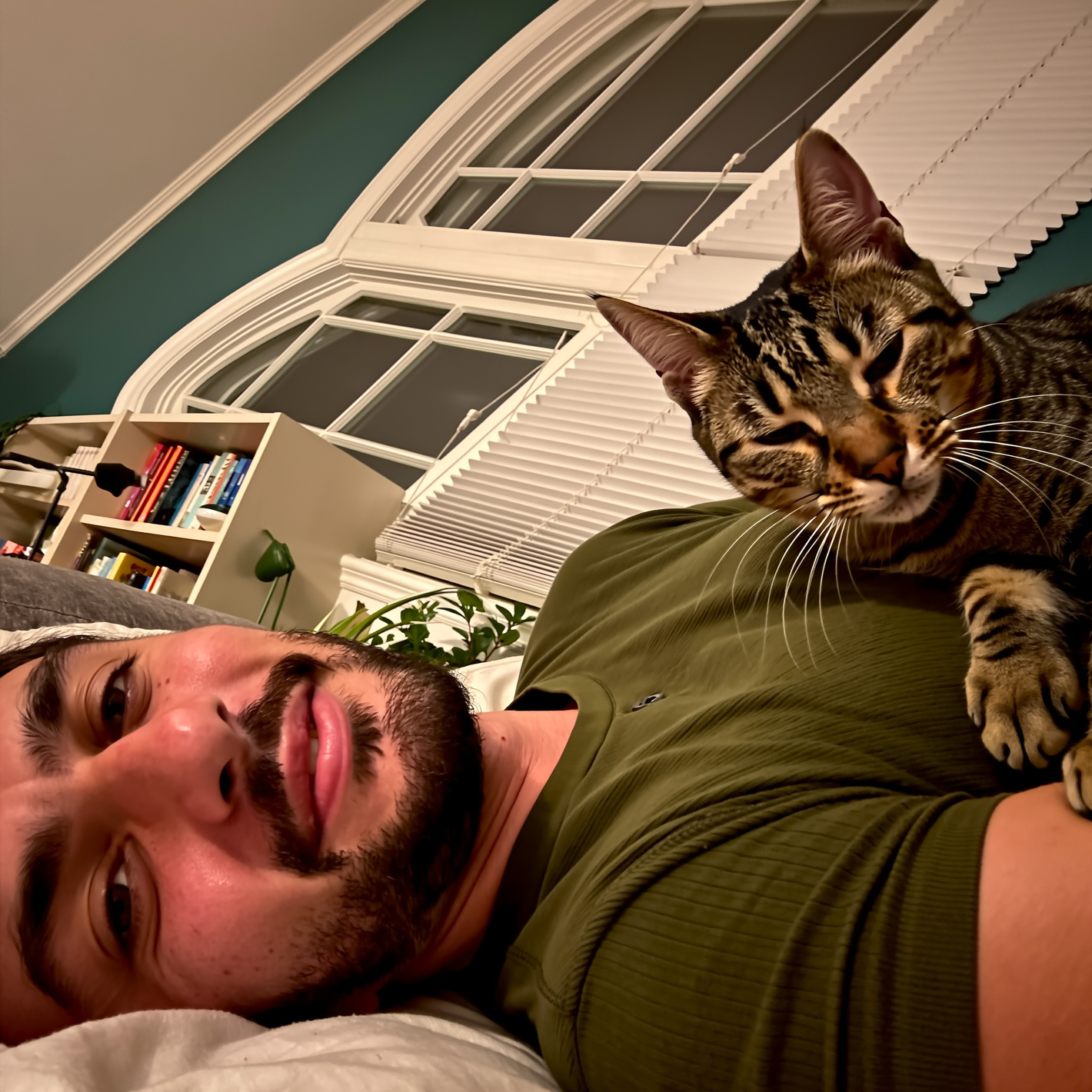 Velora CalmCat™ Diffuser | Reduce Hunting & Parasite Exposure image Velora CalmCat™ Diffuser | Reduce Hunting & Parasite Exposure