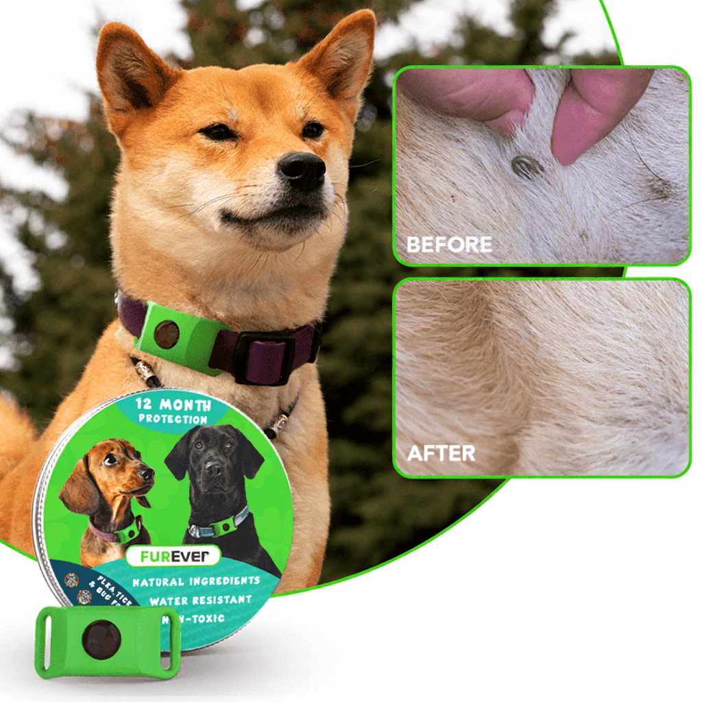 FurEver™ - 12 Months All Natural Flea and Tick Tags for Dogs