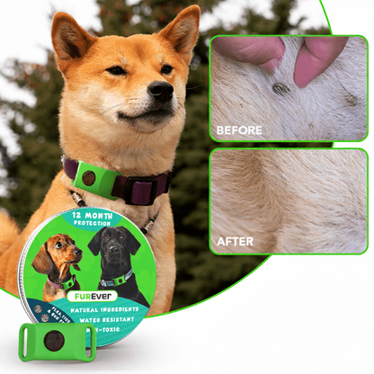 FurEver™ - 12 Months All Natural Flea and Tick Tags for Dogs