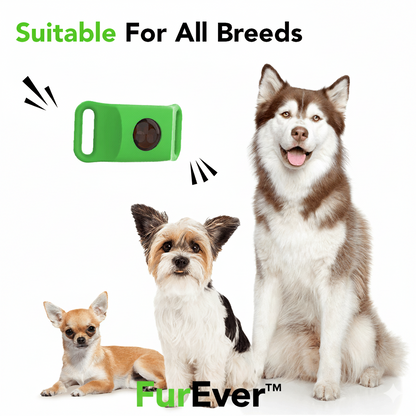 FurEver™ - 12 Months All Natural Flea and Tick Tags for Dogs