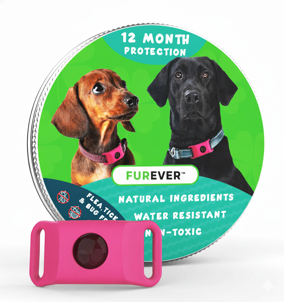 FurEver™ - 12 Months All Natural Flea and Tick Tags for Dogs
