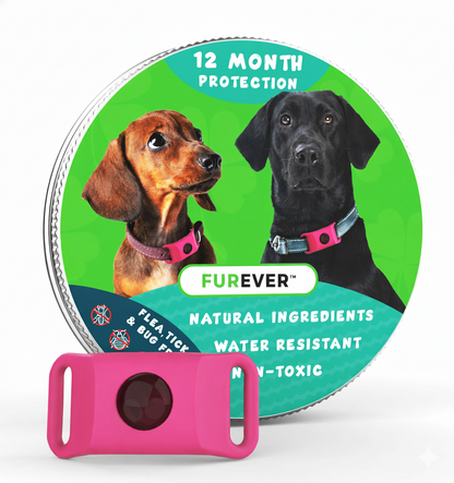 FurEver™ - 12 Months All Natural Flea and Tick Tags for Dogs