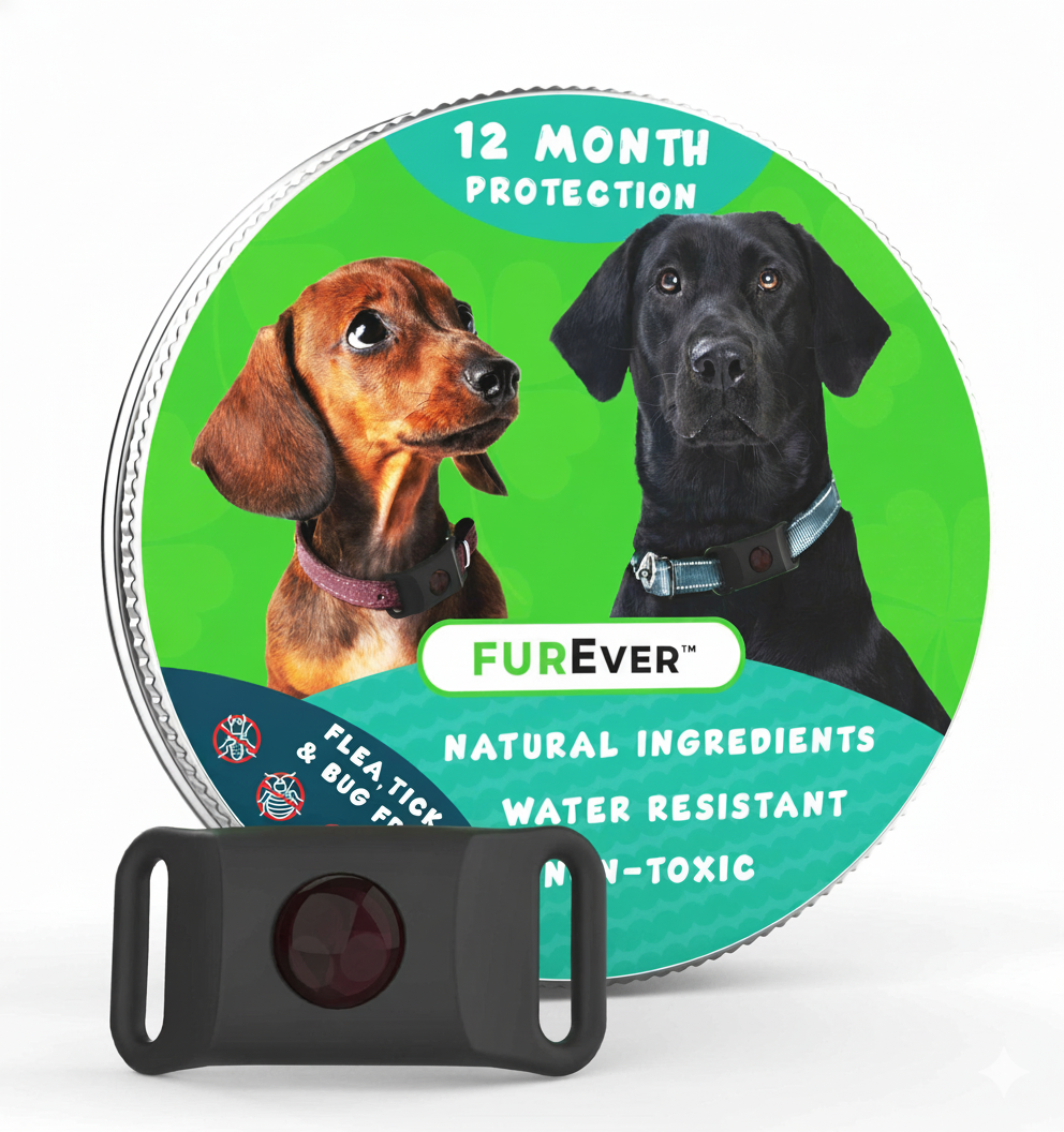 FurEver™ - 12 Months All Natural Flea and Tick Tags for Dogs